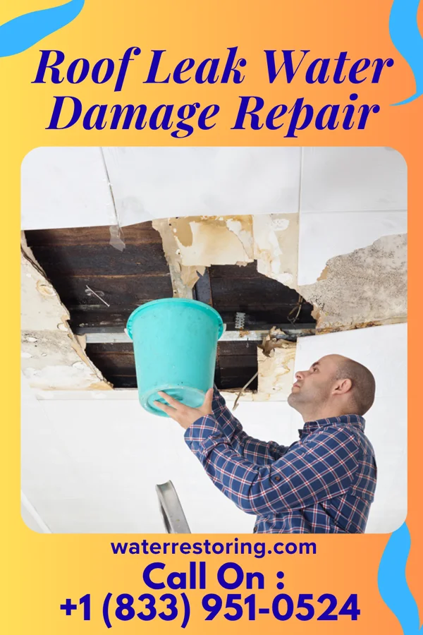 Roof Leak Water Damage Repair in Emmetsburg, IA